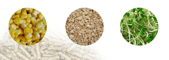 Ligne de Production d’Aliments pour Animaux