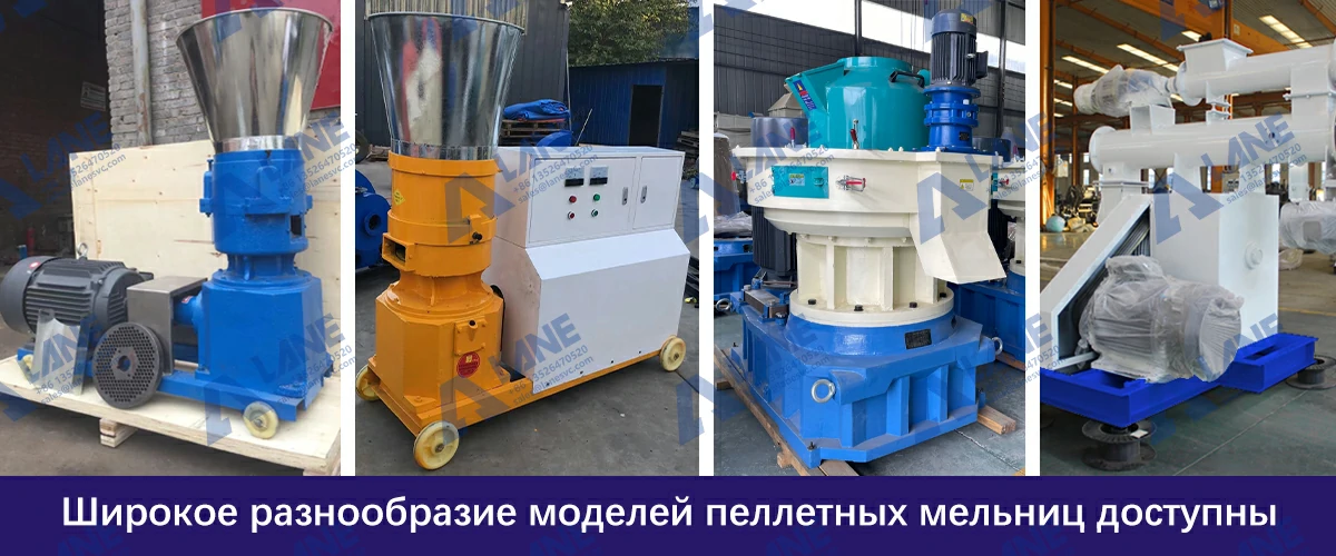 Ligne de Production d’Aliments pour Animaux