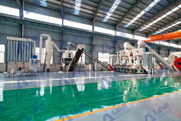 Ligne de Production de Granulés de Biomasse