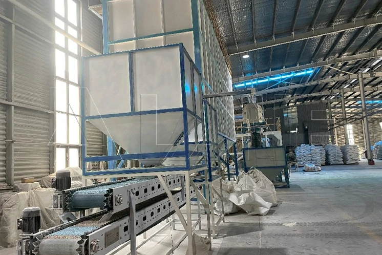 Ligne de Production de Litière pour Chats