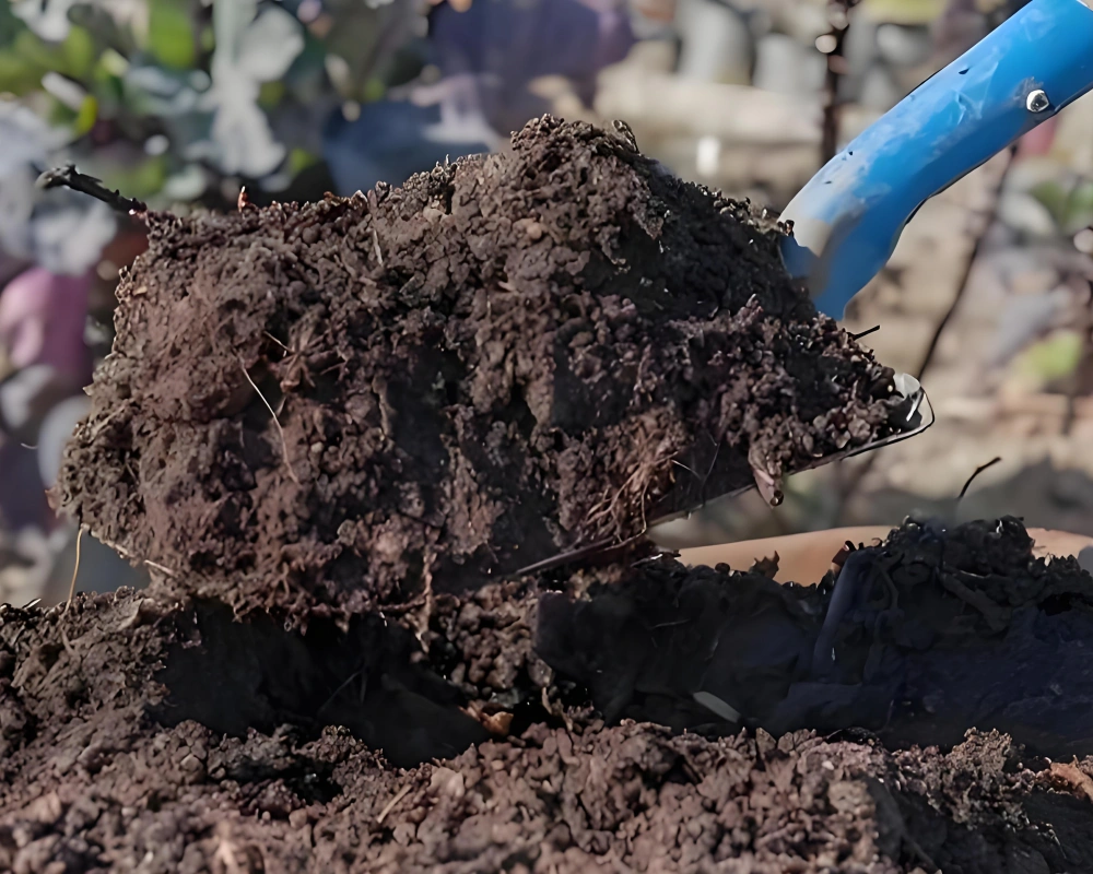 effluents d'élevage en engrais organiques , Fumier, Ligne de traitement du fumier de poulet
