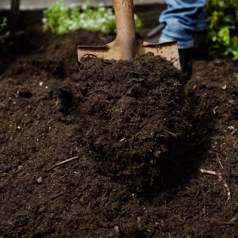compost de fumier de cheval pour potager