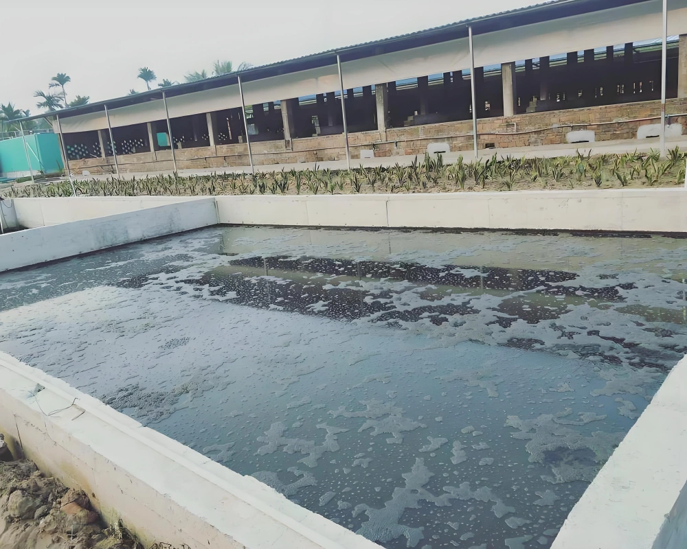 effluents d'élevage en engrais organiques , lisier